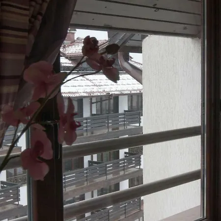 Feels Like Magnolia *